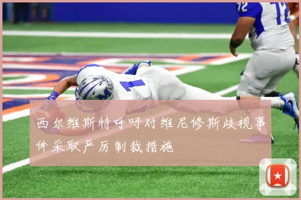 西尔维斯特呼吁对维尼修斯歧视事件采取严厉制裁措施