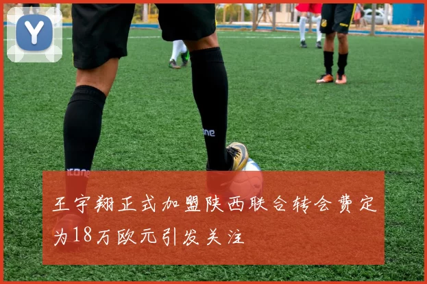 王宇翔正式加盟陕西联合转会费定为18万欧元引发关注